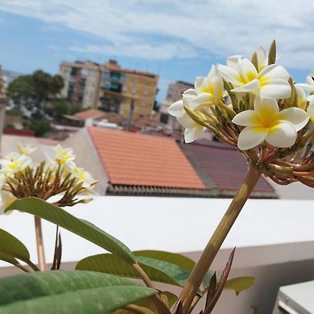 Apartamento Plumaria Málaga Eksteriør billede